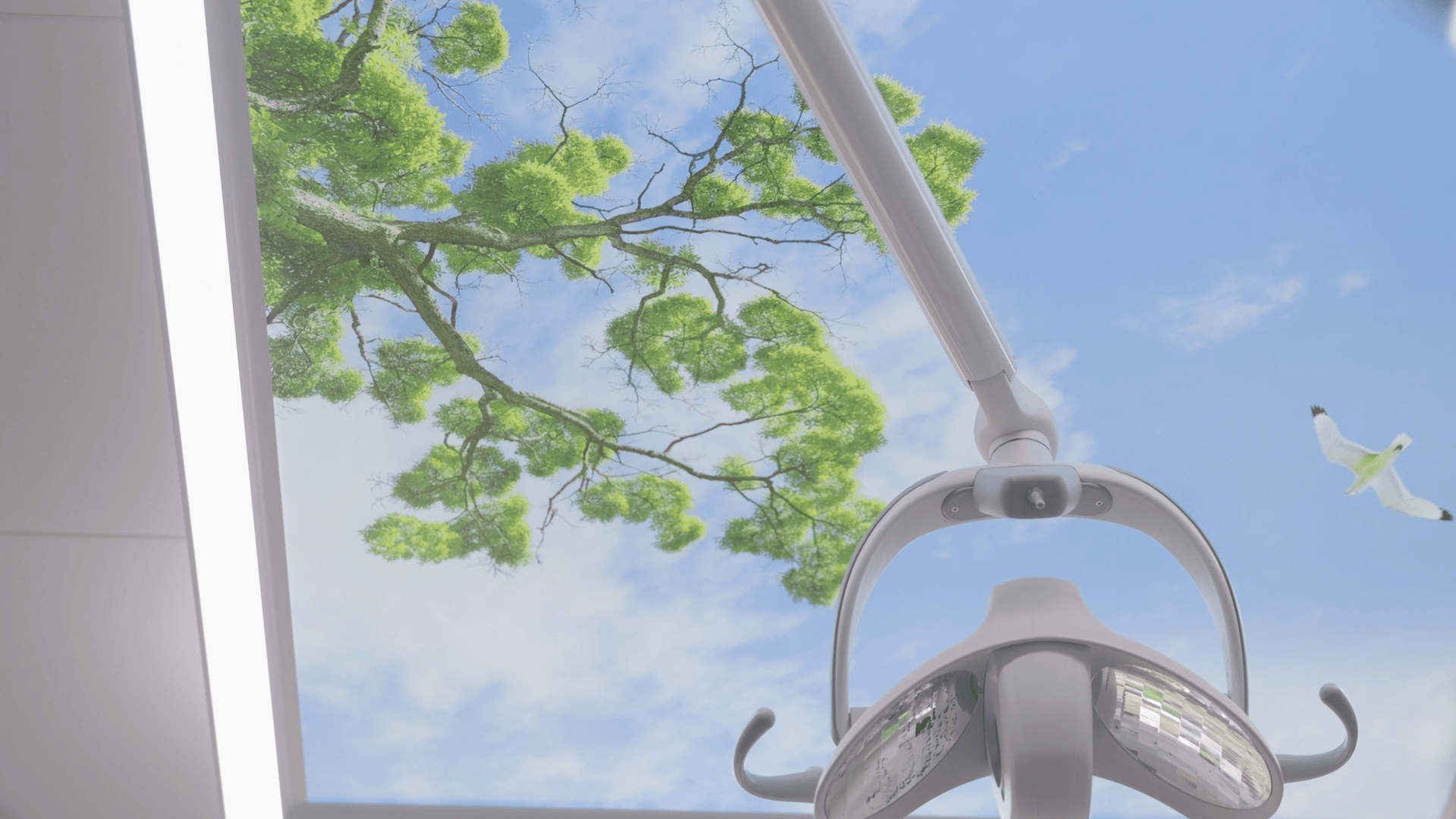 Glad patient med friska tänder